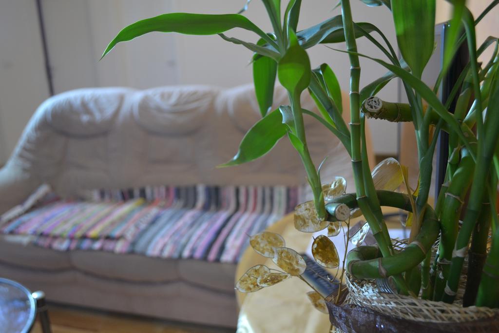Airport Apartments Belgrado Buitenkant foto