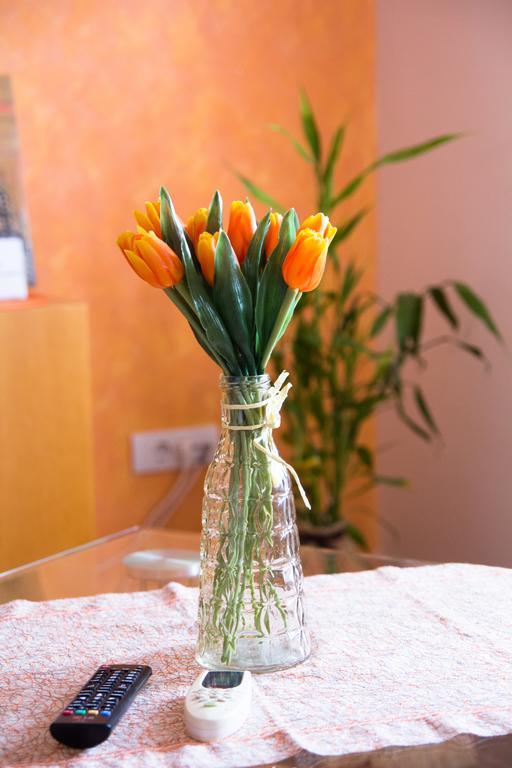 Airport Apartments Belgrado Buitenkant foto